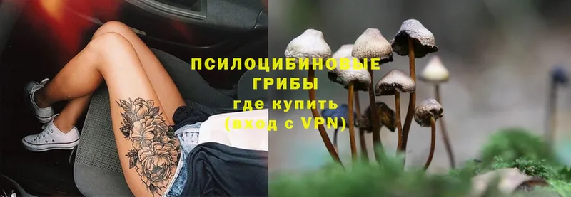 blacksprut ссылки  Заозёрск  Псилоцибиновые грибы Magic Shrooms 